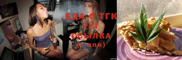 индика Алзамай