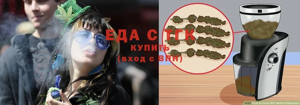 индика Алзамай