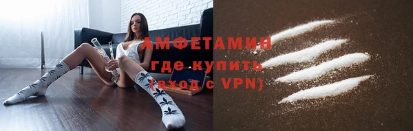 индика Алзамай