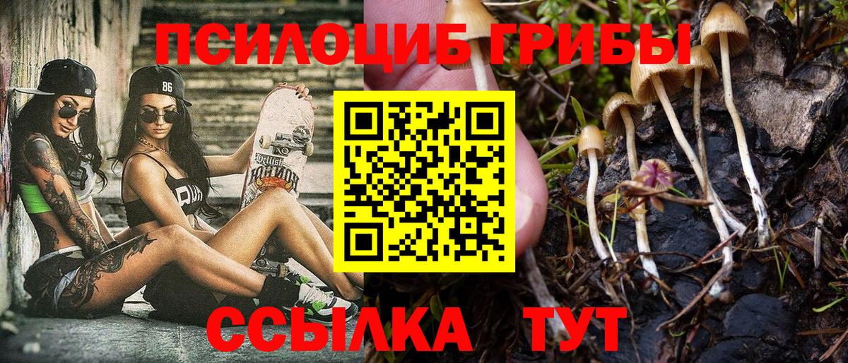 Невинномысск  Псилоцибиновые грибы Psilocybine cubensis  Вход с VPN 